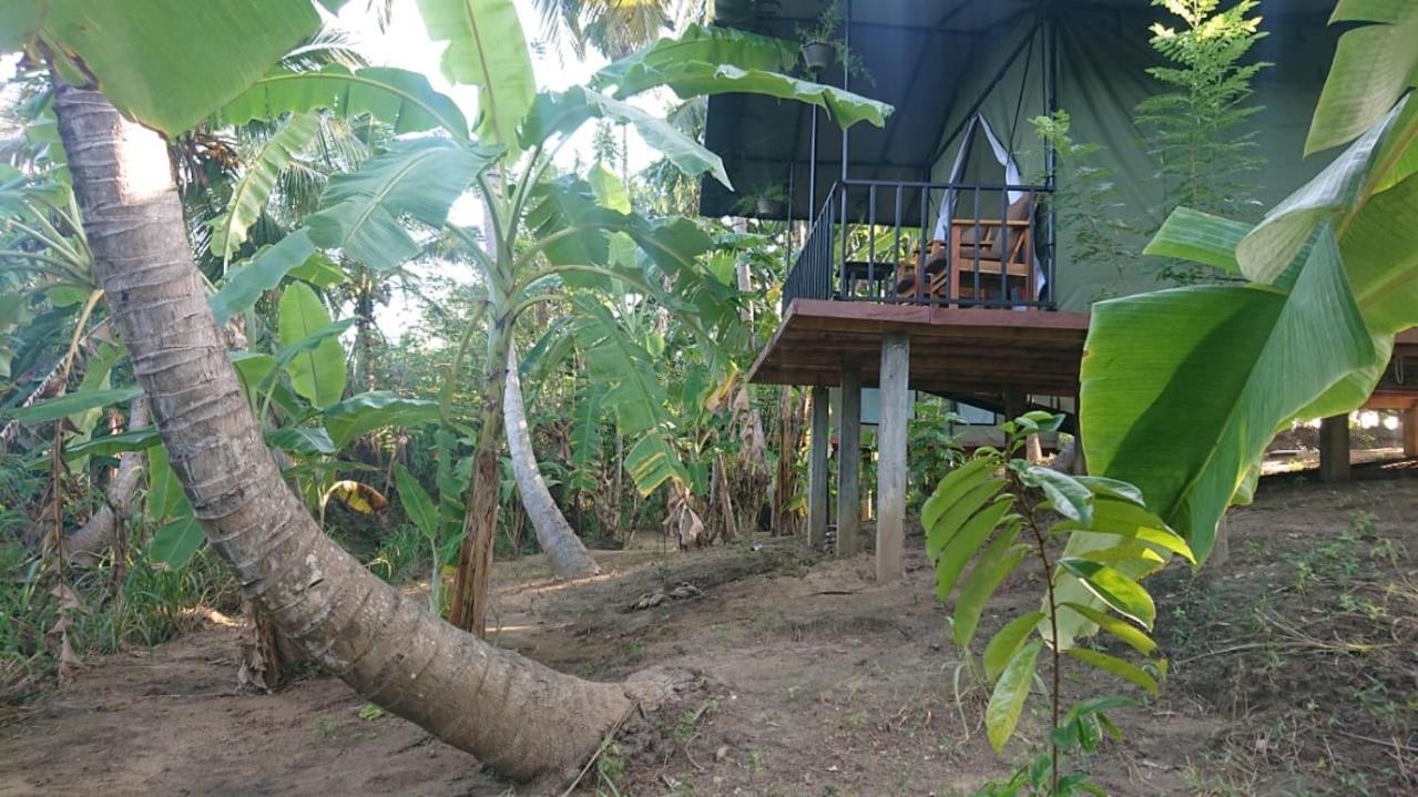 Coconut Camp Udawalawe Dematapelessa Ngoại thất bức ảnh