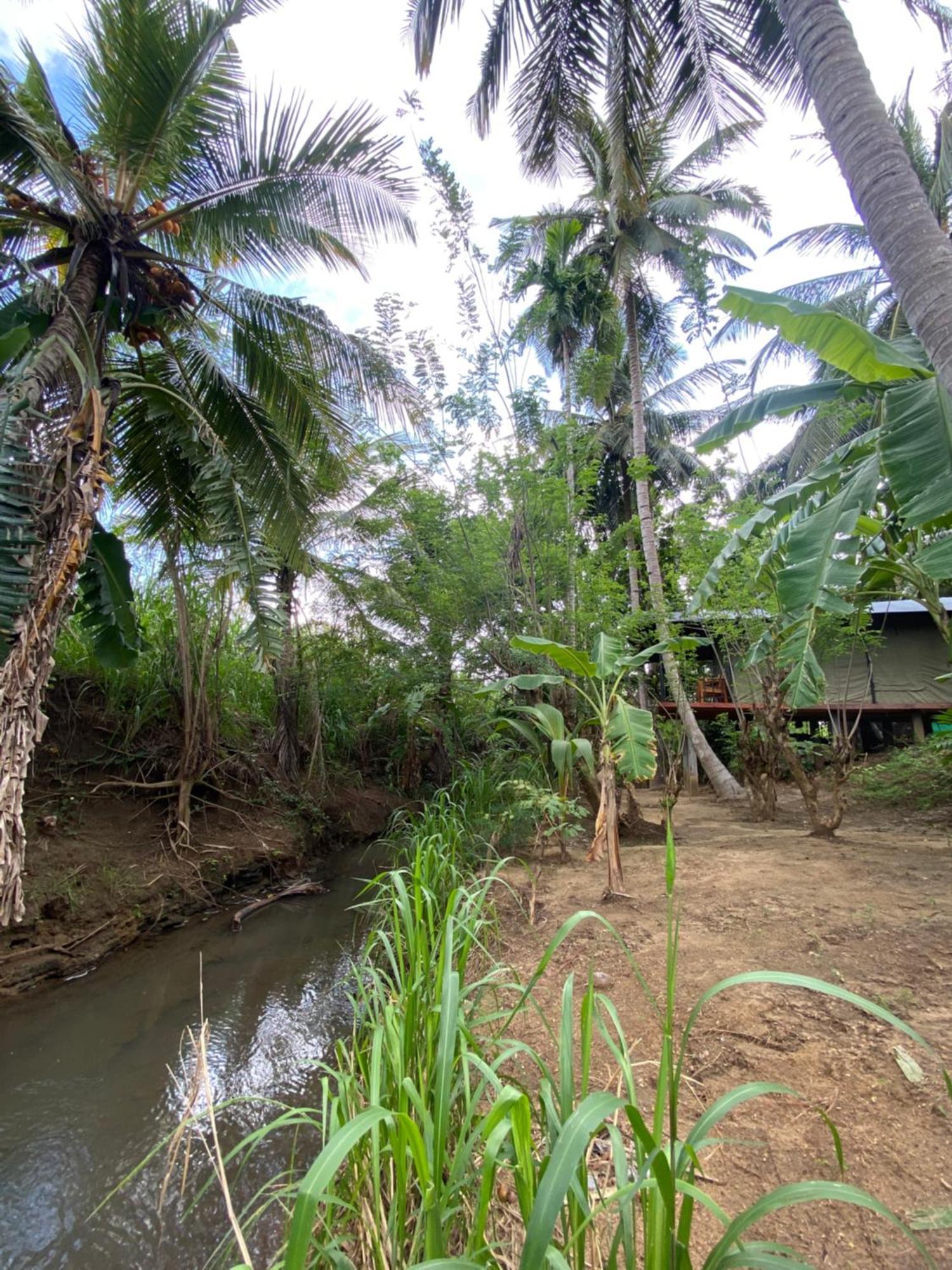 Coconut Camp Udawalawe Dematapelessa Ngoại thất bức ảnh