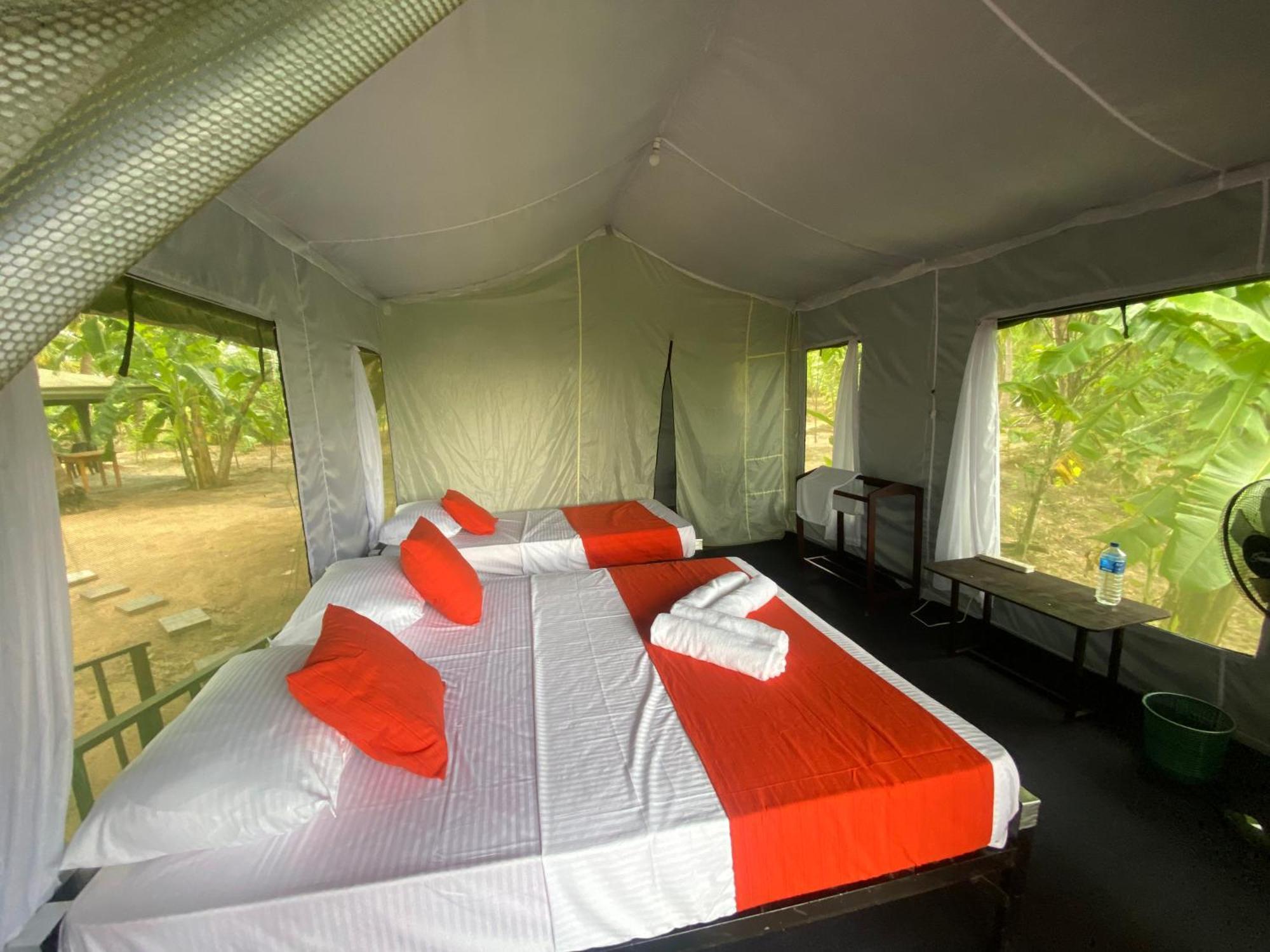 Coconut Camp Udawalawe Dematapelessa Ngoại thất bức ảnh